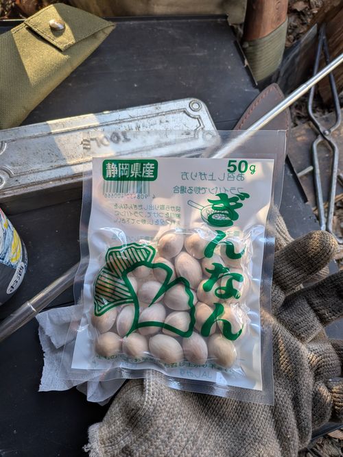 2026年3泊目 レイクロッジヤマナカ ソロキャンプ フリーサイト アニさんのキャンプブログ CAMPiii（キャンピー） -キャンプ専用SNS キャンプのすべてがここに集まる-