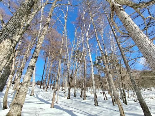 雪中が好きです 飛騨荘川 一色の森キャンプ場 ソロキャンプ グループキャンプ 区画サイト オートサイト たかたかぽんたさんのキャンプブログ CAMPiii（キャンピー） -キャンプ専用SNS キャンプのすべてがここに集まる-