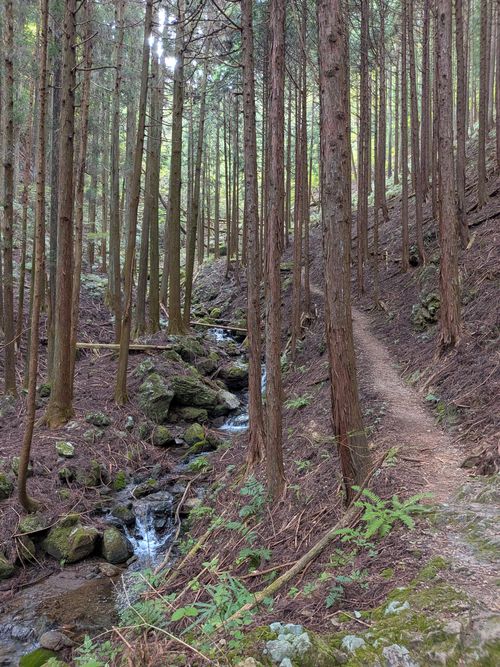 ラーショにネギは要らない ともえ川Park ソロキャンプ オートサイト IZUIZUさんのキャンプブログ CAMPiii（キャンピー） -キャンプ専用SNS キャンプのすべてがここに集まる-