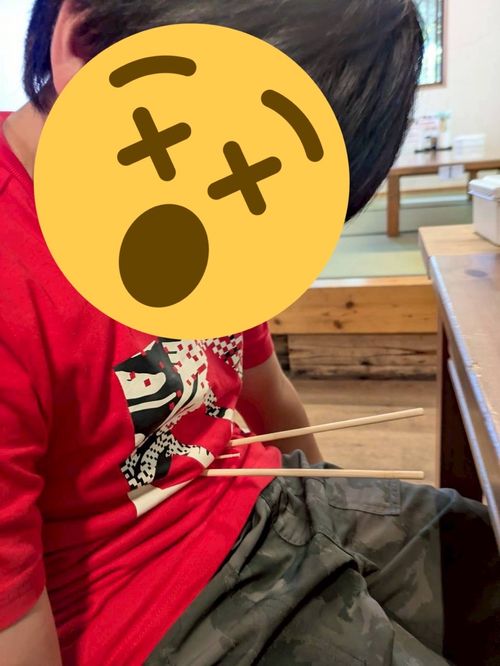 くじゅうミヤマキリシマの思い出 はやぷささんのキャンプブログ CAMPiii（キャンピー） -キャンプ専用SNS キャンプのすべてがここに集まる-