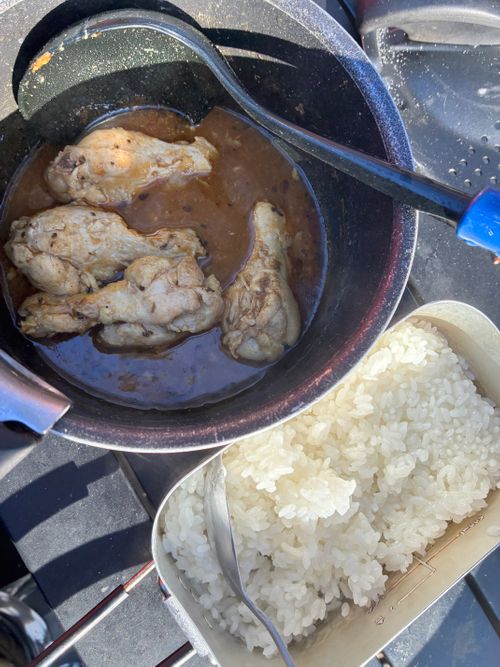 鹿いた！サウナの日、WBC満喫！ PICA富士西湖 ソロキャンプ オートサイト アクセルさんのキャンプブログ CAMPiii（キャンピー） -キャンプ専用SNS キャンプのすべてがここに集まる-