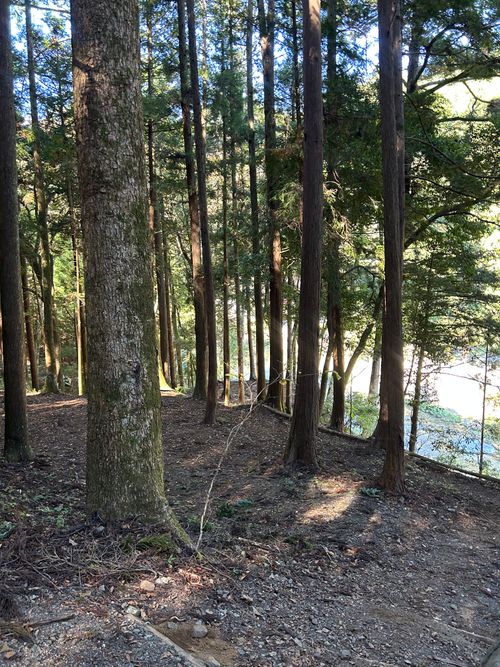 久しぶりのWOODSMAN WOODSMAN CAMPGROUND ソロキャンプ フリーサイト Genさんのキャンプブログ CAMPiii（キャンピー） -キャンプ専用SNS キャンプのすべてがここに集まる-