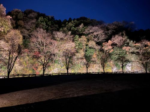 景観が楽しめるサイト Fujioka BASE リバーサイド ソロキャンプ 区画サイト YUANさんのキャンプブログ CAMPiii（キャンピー） -キャンプ専用SNS キャンプのすべてがここに集まる-