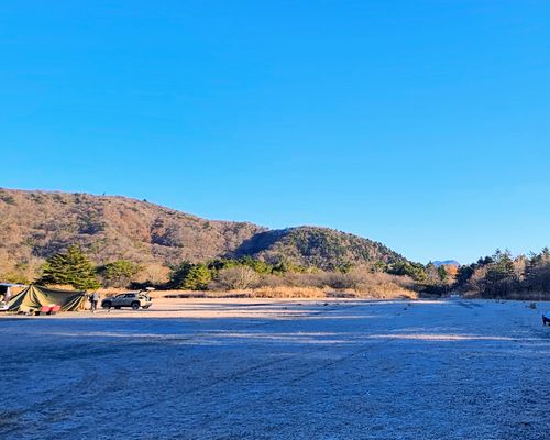 俺のあそびฅ(o‘ⓛ’o)ฅ    みりきゃん2025 富士本栖湖リゾート グループキャンプ ソロキャンプ フリーサイト くまくまさんのキャンプブログ CAMPiii（キャンピー） -キャンプ専用SNS キャンプのすべてがここに集まる-