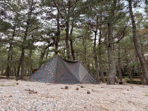 少し広めの汚宿へ引っ越ししました🇳🇴 大神子海岸 ソロキャンプ フリーサイト camping roll♪さんのキャンプブログ CAMPiii（キャンピー） -キャンプ専用SNS キャンプのすべてがここに集まる-