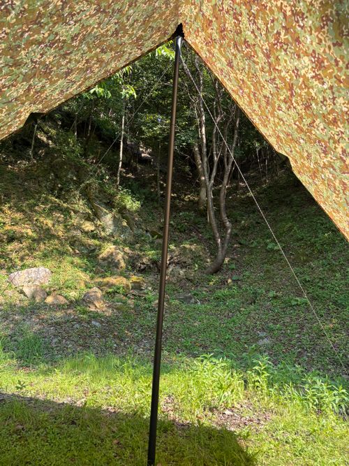 夏休みの思い出に🌻 ちえの森 ［愛楽友ふぁーむ］ ファミリーキャンプ 区画サイト camping roll♪さんのキャンプブログ CAMPiii（キャンピー） -キャンプ専用SNS キャンプのすべてがここに集まる-