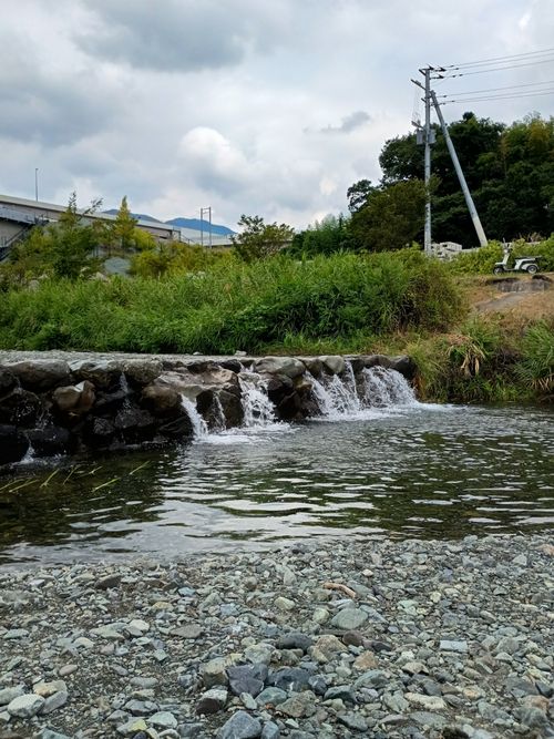 お出かけ前日のデイキャンプ 水無川通り ソロキャンプ フリーサイト ウエィダーさんのキャンプブログ CAMPiii（キャンピー） -キャンプ専用SNS キャンプのすべてがここに集まる-