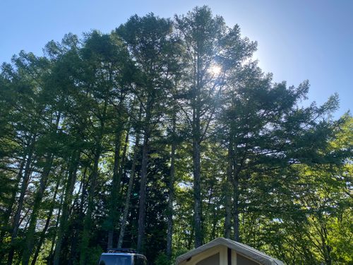 もう初夏の暑さ🥵だった､､､春おじキャン🏕️ 美鈴湖もりの国 オートキャンプ場 グループキャンプ ケイスケさんのキャンプブログ CAMPiii（キャンピー） -キャンプ専用SNS キャンプのすべてがここに集まる-