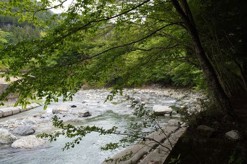 久しぶりのwoodsman WOODSMAN CAMPGROUND ソロキャンプ フリーサイト 週末スナフキンさんのキャンプブログ CAMPiii（キャンピー） -キャンプ専用SNS キャンプのすべてがここに集まる-