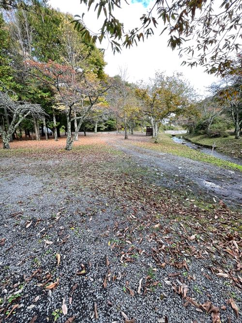 同僚と道志村で2泊3日のふたりキャンプ！ 道志村観光農園オートキャンプ場 ソロキャンプ グループキャンプ フリーサイト ma9さんのキャンプブログ CAMPiii（キャンピー） -キャンプ専用SNS キャンプのすべてがここに集まる-