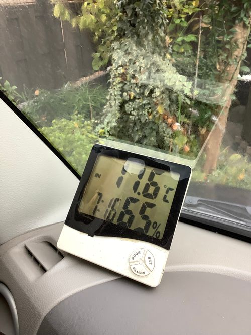 Vol.106 25/NO.25 坂戸にお肉焼きに行く‼️ 坂戸市 ソロキャンプ フリーサイト 🔥焚き火🔥さんのキャンプブログ CAMPiii(キャンピー) -キャンプ専用SNS キャンプのすべてがここに集まる-