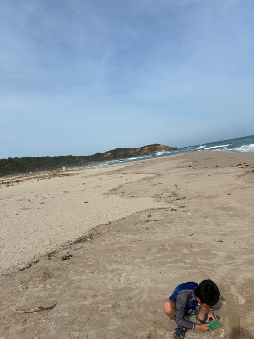 2026年9回目、海水浴キャンPart①🏖️ 島根県立石見海浜公園オートキャンプ場 ファミリーキャンプ 区画サイト オートサイト わいげさんのキャンプブログ CAMPiii（キャンピー） -キャンプ専用SNS キャンプのすべてがここに集まる-