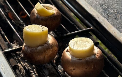 ４月キャンプ⛺️ 智光山公園 キャンプ場 ソロキャンプ フリーサイト boorishcamperさんのキャンプブログ CAMPiii（キャンピー） -キャンプ専用SNS キャンプのすべてがここに集まる-