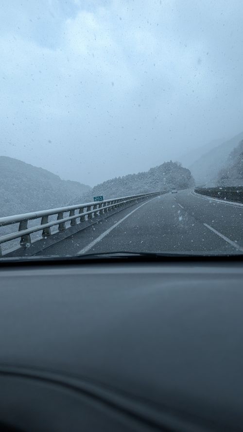 2026年キャンプ始め🎍爆風けん玉合宿🏕️ ひなもりオートキャンプ場 ファミリーキャンプ ヒゲキャンさんのキャンプブログ CAMPiii（キャンピー） -キャンプ専用SNS キャンプのすべてがここに集まる-