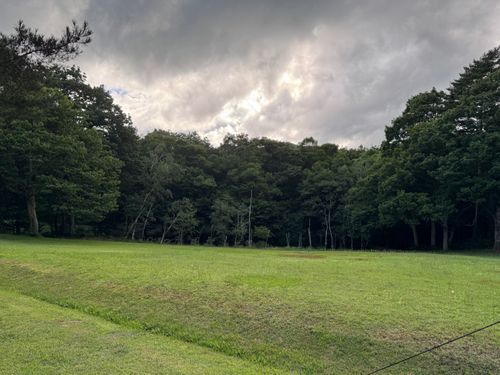 「やっぱ夏は山でしょ!」のんびりキャンプ 聖湖キャンプ場 ソロキャンプ フリーサイト yoshiさんのキャンプブログ CAMPiii(キャンピー) -キャンプ専用SNS キャンプのすべてがここに集まる-