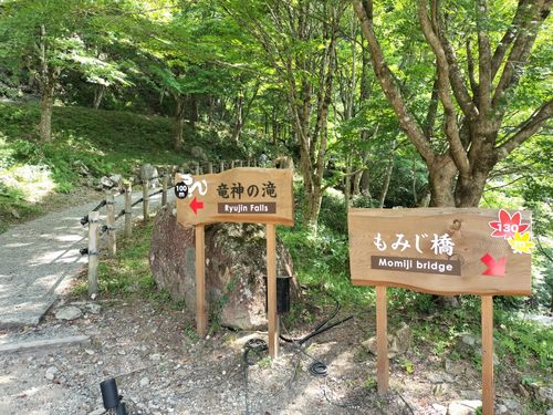 お医者様に外出はOKだと言われてたので 田立の滝オートキャンプ場 ソロキャンプ グループキャンプ 区画サイト オートサイト たかたかぽんたさんのキャンプブログ CAMPiii(キャンピー) -キャンプ専用SNS キャンプのすべてがここに集まる-