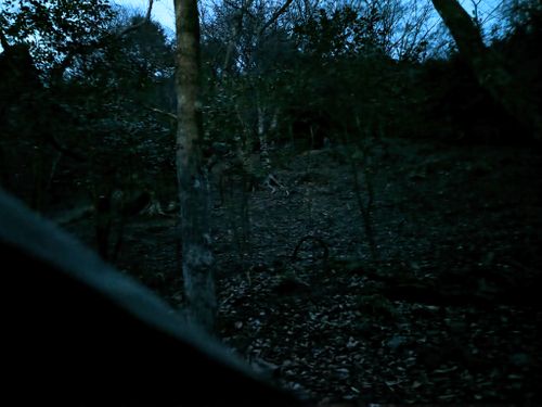 自分史上最重量級キャンプ。 兵庫県 ソロキャンプ フリーサイト ぞのさんさんのキャンプブログ CAMPiii（キャンピー） -キャンプ専用SNS キャンプのすべてがここに集まる-