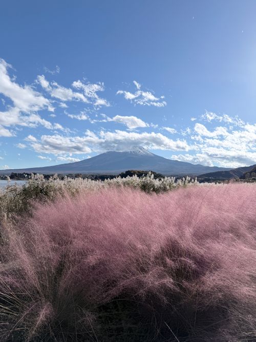 紅葉の山伏グルキャン 山伏オートキャンプ場 グループキャンプ 区画サイト atelierさんのキャンプブログ CAMPiii（キャンピー） -キャンプ専用SNS キャンプのすべてがここに集まる-