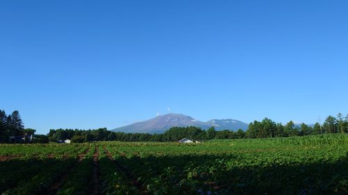 避暑地キャンプ。 軽井沢キャンプクレスト ファミリーキャンプ 区画サイト まーささんのキャンプブログ CAMPiii(キャンピー) -キャンプ専用SNS キャンプのすべてがここに集まる-