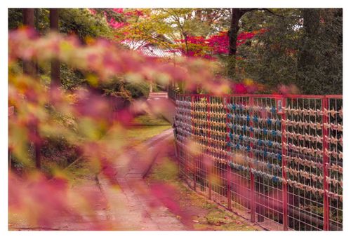 全国旅キャンプ第11弾は京都編 笠置キャンプ場 ソロキャンプ ファミリーキャンプ グループキャンプ フリーサイト ENJOY THE OUTDOORSさんのキャンプブログ CAMPiii（キャンピー） -キャンプ専用SNS キャンプのすべてがここに集まる-