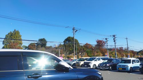 会社の仲間とグルキャン 糸島ピクニックビレッジ オートキャンプ場 グループキャンプ 区画サイト スローライフに憧れるさんのキャンプブログ CAMPiii（キャンピー） -キャンプ専用SNS キャンプのすべてがここに集まる-