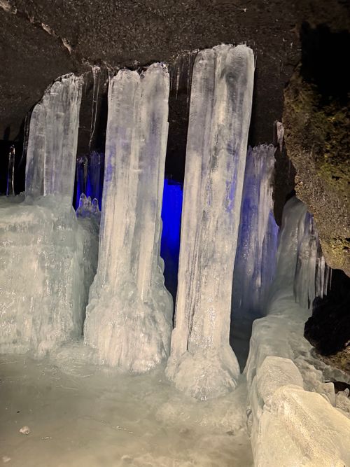 3.16キャンプ ふもとっぱらキャンプ場 ソロキャンプ ファミリーキャンプ グループキャンプ フリーサイト Aoさんのキャンプブログ CAMPiii（キャンピー） -キャンプ専用SNS キャンプのすべてがここに集まる-