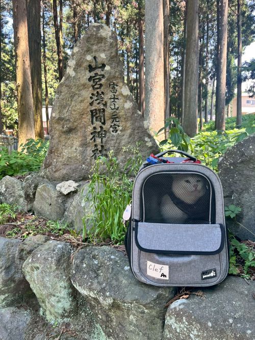 特に何もないんだけど、まったりデュオで猫の写真を撮ってきたよ ANOTHAPLACE ソロキャンプ グループキャンプ オートサイト 区画サイト ちあさんのキャンプブログ CAMPiii（キャンピー） -キャンプ専用SNS キャンプのすべてがここに集まる-