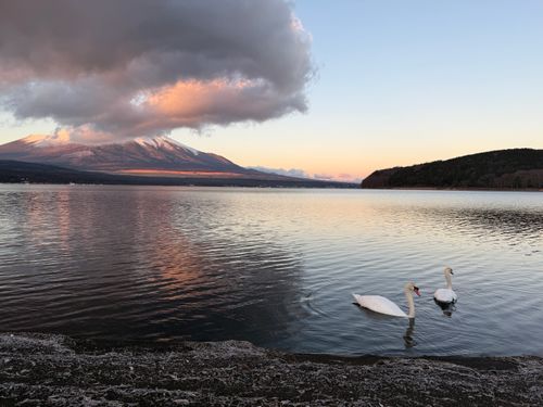 2025富士山キャンプ🗻@山梨編 レイクロッジヤマナカ ファミリーキャンプ 区画サイト ぐうたら夫婦さんのキャンプブログ CAMPiii（キャンピー） -キャンプ専用SNS キャンプのすべてがここに集まる-