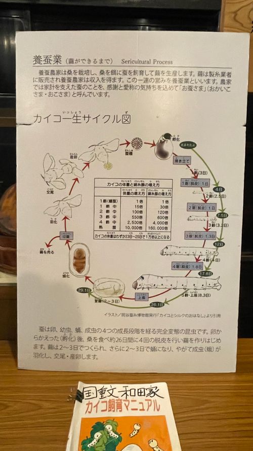 北陸遠征キャンプ（石川編） 白山吉野オートキャンプ場 ファミリーキャンプ 区画サイト フォレキャンさんのキャンプブログ CAMPiii（キャンピー） -キャンプ専用SNS キャンプのすべてがここに集まる-