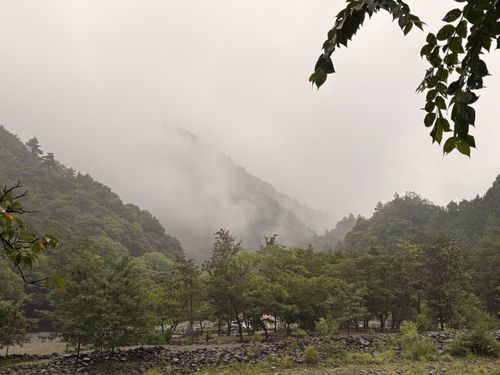 夏満喫！と思ってたのに悪天候😱川流れキャンプできずにワタシの夏は終わった(._. ) 道志渓谷キャンプ場 グループキャンプ 区画サイト ぷりんさんのキャンプブログ CAMPiii（キャンピー） -キャンプ専用SNS キャンプのすべてがここに集まる-