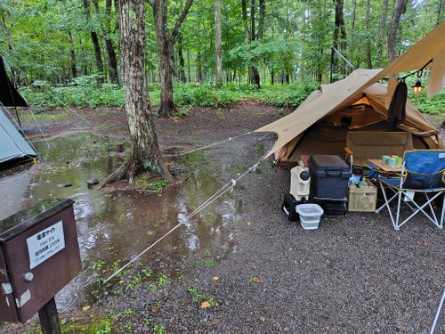 CAMP+iizuna　飯綱東高原キャンプ場 camp＋iizuna（キャンプラス飯綱） ファミリーキャンプ オートサイト ぽぽさんさんのキャンプブログ CAMPiii（キャンピー） -キャンプ専用SNS キャンプのすべてがここに集まる-