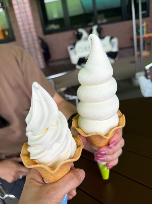 顔過ぎるだろ🍄 ひるがの高原キャンプ場 グループキャンプ オートサイト 区画サイト まりさんのキャンプブログ CAMPiii（キャンピー） -キャンプ専用SNS キャンプのすべてがここに集まる-