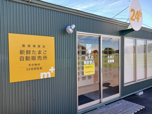 【Day13】北海道C△mp旅’ on 敦賀行きフェリー・すずらん 苫小牧東港フェリーターミナル ファミリーキャンプ キャンピングカー vios outdoor'sさんのキャンプブログ CAMPiii(キャンピー) -キャンプ専用SNS キャンプのすべてがここに集まる-