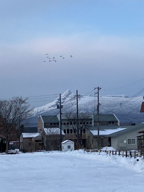 ㊗️100投稿目キャンプ😆 ユーカラパーキングCAMP グループキャンプ フリーサイト siroさんのキャンプブログ CAMPiii（キャンピー） -キャンプ専用SNS キャンプのすべてがここに集まる-