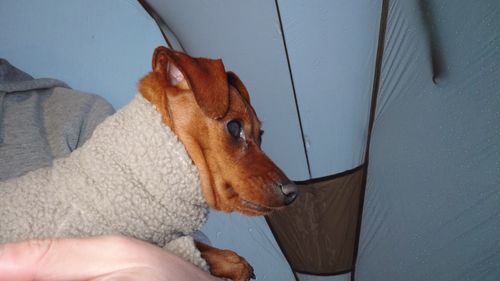 思いがけない雪中キャンプ！ UJackむつざわオートキャンプ場（泊地） ソロキャンプ グループキャンプ 区画サイト まーささんのキャンプブログ CAMPiii（キャンピー） -キャンプ専用SNS キャンプのすべてがここに集まる-