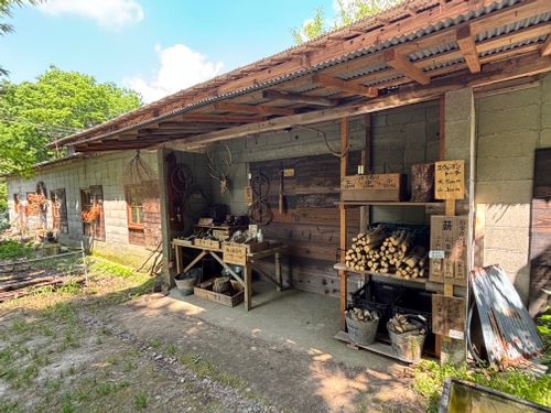 特に何もないんだけど，まったりソロしてきたよって記事が王道やんな？ ebihara base camp site ソロキャンプ 区画サイト とのさんのキャンプブログ CAMPiii（キャンピー） -キャンプ専用SNS キャンプのすべてがここに集まる-