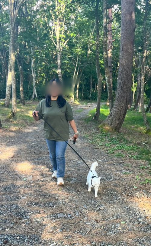 天気に恵まれた高原キャンプ North Village Hirugano - Camping Fields グループキャンプ ソロキャンプ オートサイト 区画サイト ちあさんのキャンプブログ CAMPiii（キャンピー） -キャンプ専用SNS キャンプのすべてがここに集まる-