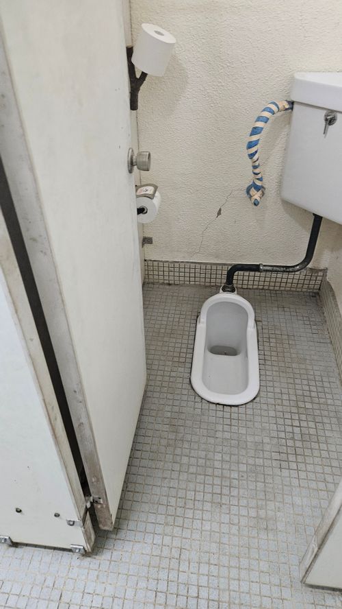 とりあえず250踏んどく(標高約910m)(オートサイト区画、2区画6人6台ー2620円/人) 本栖湖いこいの森キャンプ場 グループキャンプ 区画サイト オートサイト IZUIZUさんのキャンプブログ CAMPiii(キャンピー) -キャンプ専用SNS キャンプのすべてがここに集まる-