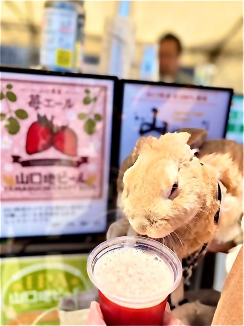 ビールざんまい🍻💕　今年も参加のブルワリー周年祭おじおばうさキャン△ in 深坂自然の森キャンプ場 〜 CAMP NO.192 深坂自然の森キャンプ場 ファミリーキャンプ グループキャンプ 区画サイト おじキャン△さんのキャンプブログ CAMPiii（キャンピー） -キャンプ専用SNS キャンプのすべてがここに集まる-