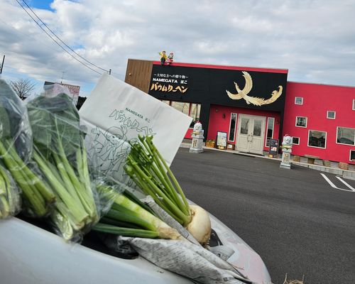 俺のあそびฅ(o&lsquo;ⓛ&rsquo;o)ฅ   なめキャン⛺ 天王崎公園 ソロキャンプ フリーサイト くまくまさんのキャンプブログ CAMPiii（キャンピー） -キャンプ専用SNS キャンプのすべてがここに集まる-