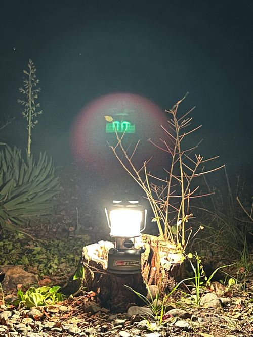 海辺で新米を愉しむキャンプ 丸山県民サンビーチ（キャンプ場） ソロキャンプ フリーサイト おくさんさんのキャンプブログ CAMPiii（キャンピー） -キャンプ専用SNS キャンプのすべてがここに集まる-