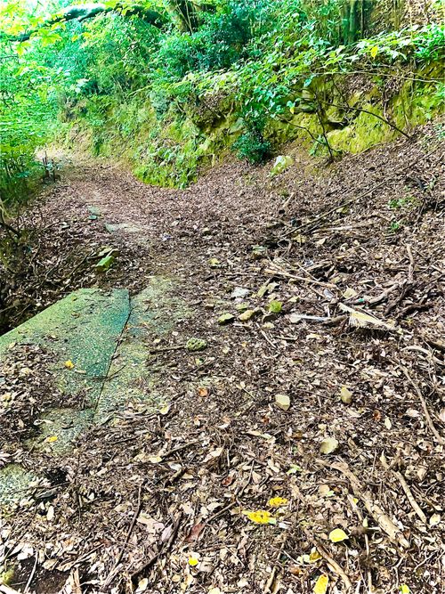 お初の長崎県⛺️絶景を求めおじうさキャン△ in 中瀬草原キャンプ場 〜 CAMP NO.162 中瀬草原キャンプ場 ソロキャンプ ファミリーキャンプ フリーサイト おじキャン△さんのキャンプブログ CAMPiii（キャンピー） -キャンプ専用SNS キャンプのすべてがここに集まる-