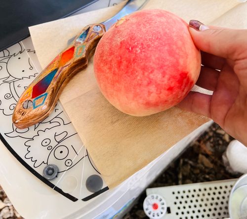 本栖湖の透明度に感激でした*.(๓´͈ ˘ `͈๓).* 本栖湖いこいの森キャンプ場 グループキャンプ 区画サイト ぷりんさんのキャンプブログ CAMPiii(キャンピー) -キャンプ専用SNS キャンプのすべてがここに集まる-