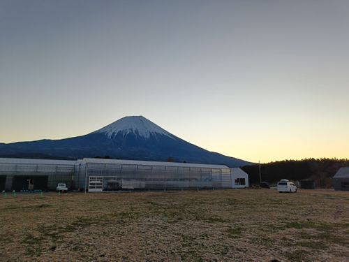 トマトっぱら 富士高原トマトフィールド ファミリーキャンプ フリーサイト オートサイト Kazu Aさんのキャンプブログ CAMPiii（キャンピー） -キャンプ専用SNS キャンプのすべてがここに集まる-