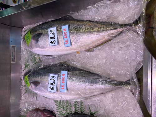 新年雪中デビュー⛄️❄️🌨🏔️@前編 閑乗寺公園 第2キャンプ場 ファミリーキャンプ 区画サイト オートサイト ぐうたら夫婦さんのキャンプブログ CAMPiii（キャンピー） -キャンプ専用SNS キャンプのすべてがここに集まる-