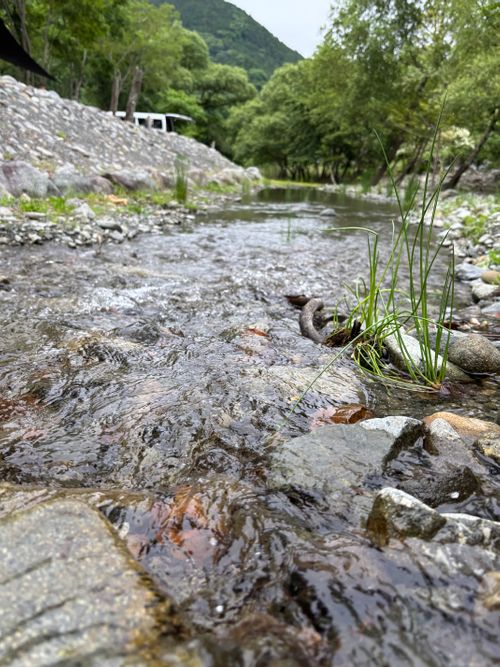 蛍の舞にうっとり Black Smith Outdoorfield Sanogawa Base ソロキャンプ オートサイト 区画サイト marpyさんのキャンプブログ CAMPiii（キャンピー） -キャンプ専用SNS キャンプのすべてがここに集まる-