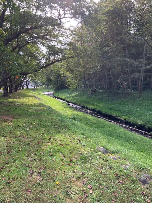 癒しの長万部公園キャンプ場 長万部公園(キャンプ場) ソロキャンプ フリーサイト siroさんのキャンプブログ CAMPiii（キャンピー） -キャンプ専用SNS キャンプのすべてがここに集まる-