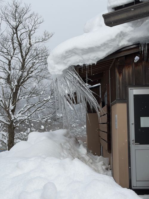 大人だけど雪遊び全振りキャンプ⛄️❄️🗿 白川郷ひらせ温泉キャンプサイト グループキャンプ フリーサイト ぐうたら夫婦さんのキャンプブログ CAMPiii（キャンピー） -キャンプ専用SNS キャンプのすべてがここに集まる-