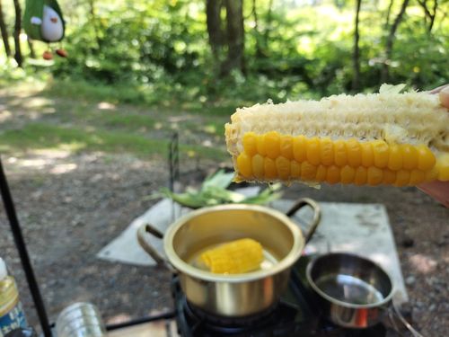 あの有名な無料キャンプ場の近くで、2025年4月から新体制でリスタートしたこの夏注目のお値打ちキャンプ場で避暑キャン2泊目ソロデュオ 木曽駒オートキャンプ場 ソロキャンプ グループキャンプ 区画サイト オートサイト たかたかぽんたさんのキャンプブログ CAMPiii(キャンピー) -キャンプ専用SNS キャンプのすべてがここに集まる-