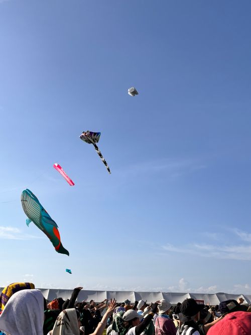 CAMP DE WILD BUNCH FEST.25 山口きらら博記念公園 グループキャンプ フリーサイト あやぴーさんのキャンプブログ CAMPiii(キャンピー) -キャンプ専用SNS キャンプのすべてがここに集まる-